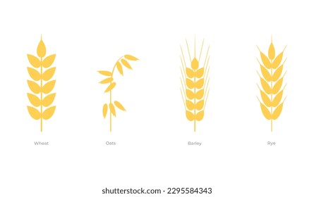 Plantas de cereales. Trigo, avena, cebada, centeno. Ilustración vectorial de íconos, recurso gráfico para enfermedad celiaca.
