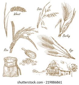 Cereals set. Hand drawn illustration wheat, rye, oats, barley, farm house in vintage style