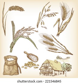 Cereals set. Hand drawn illustration wheat, rye, oats, barley, rice, farm house in vintage style