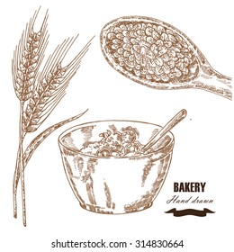 Cereals set. Hand drawn sketch illustration wheat, barley, breakfast in vintage style. Isolated