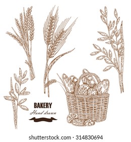 Cereals set. Hand drawn sketch illustration wheat, rye, oats, barley, bread in vintage style. Isolated