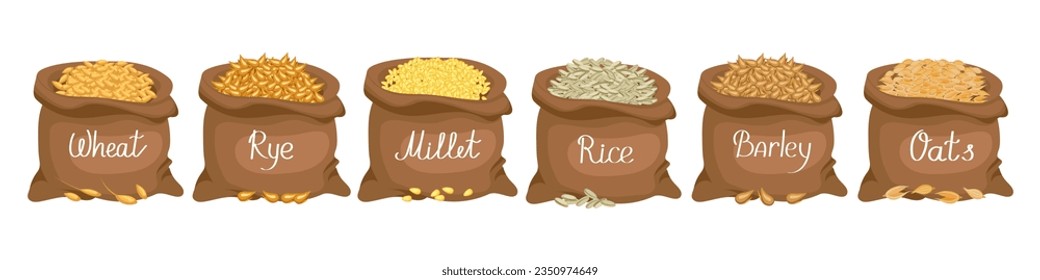 Cereals set. Linen bags with grains wheat, rye, oats, rice, barley, millet. Harvest, agriculture. Illustration, vector