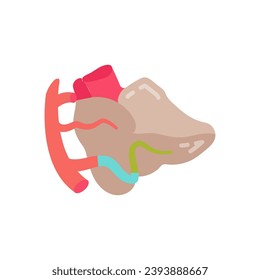 Cerebellar Arteries icon in vector. Logotype