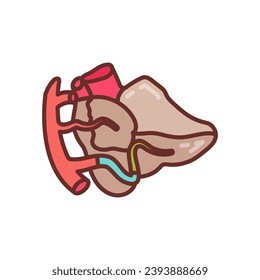 Cerebellar Arteries icon in vector. Logotype