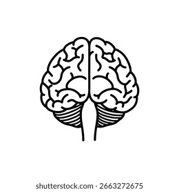 Cerebelo en la parte inferior de la espalda del cerebro humano Anatomía