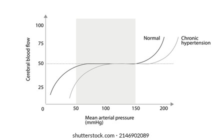 Cerebral autoregulation curve. Cerebral blood flow versus mean arterial pressure. Normal and chronic hypertension curve 