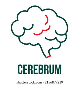 Icono de Cerebrum. Icono del cerebro humano. Señal de mente, psicología y neurología médica