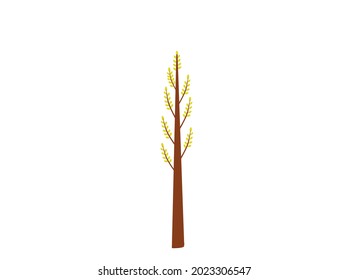 A certain green tree on a white background.