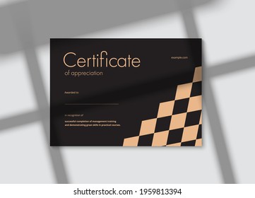 Certificate of appreciation template design. Elegant business diploma layout for training graduation or course completion. Vector background illustration.