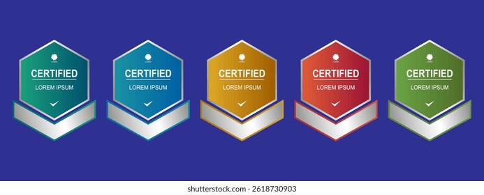 Certificate badge for company template vector illustration