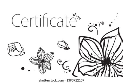 Certificate. Design template with decorative flowers and swirls hand drawn. Black and white illustration of flowers. Flower boutique, market. - Vector