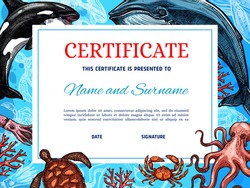 Certificate Diploma Award Template, Fishes In Sea Or Ocean, Vector Background. Winner Certificate Diploma Or Voucher With Blue Waves, Underwater And Undersea, Fishing Achievement Challenge Honor Frame