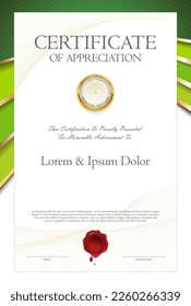 Certificate or Diploma of completion design template white background vector illustration 