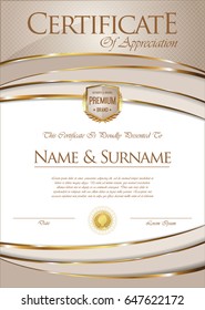 Certificate or diploma retro template