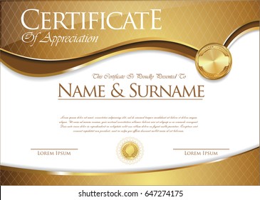 Certificate Diploma Template Stock Vector (Royalty Free) 647274175 ...