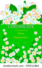 Certificate or diploma template. Vector illustration. With folwers.
