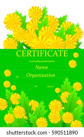 Certificate or diploma template. Vector illustration. With folwers.