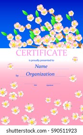 Certificate or diploma template. Vector illustration. With folwers.