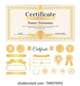 Certificate sample with stamps and signatures, text and name with surname above it, collection of ribbons on vector illustration isolated on white