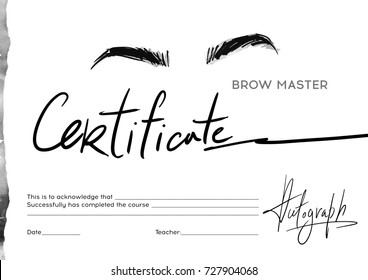 Certificate stylist on the eyebrows