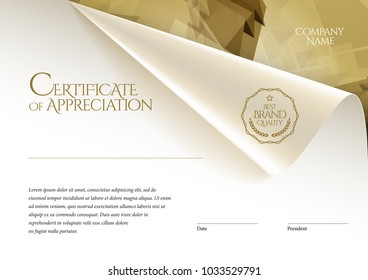 Certificate. Template diploma currency border. Award background Gift voucher. Vector illustration.