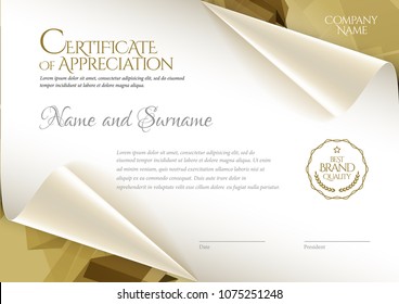 Certificate. Template diploma currency border. Award background Gift voucher. Vector illustration.
