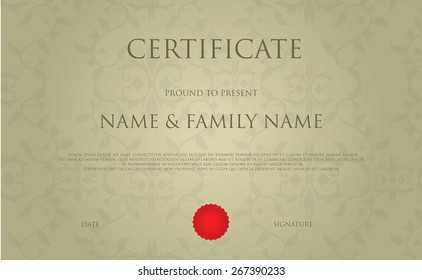 Certificated diploma of completion 