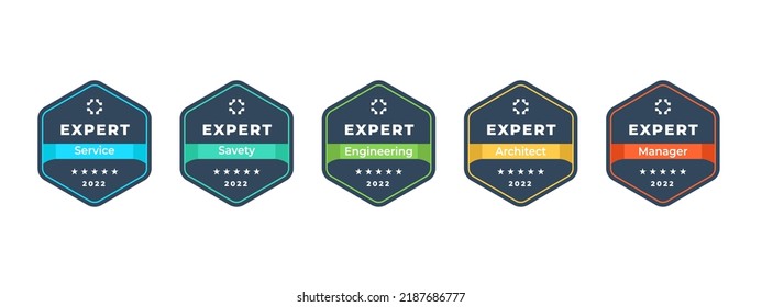 Certification badge design. Geometric Hexagon Logo shape. Vector Illustration.