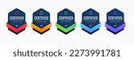 Certified Badge Design for Hacking Practitioners. Professional Computer Security Certifications Based on Criteria.
