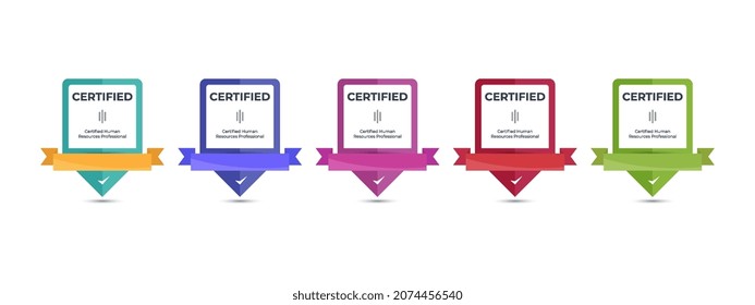 Certified badge logo design for company training badge certificates to determine based on criteria. Set bundle certify colorful vector illustration template.