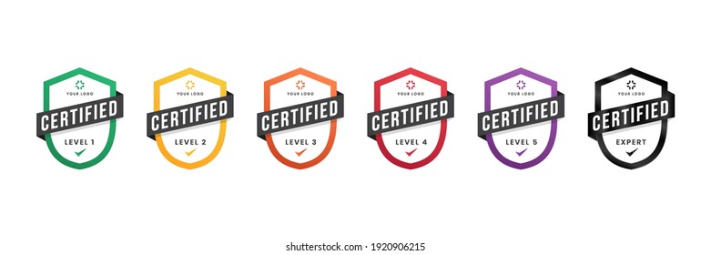 Certified Logo Badge. Criteria Level Digital Certificate With Shield Logo Line. Vector Illustration Icon Secure Template.
