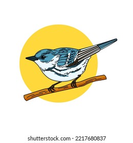 Cerulean Warbler Bird Colored Vector Illustration