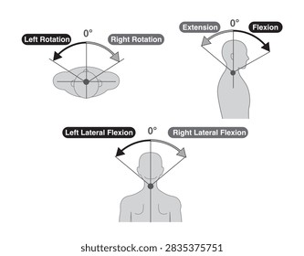 Cervical Spine and Neck Range of Motion (ROM) Illustration