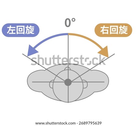 Cervical Spine and Neck Range of Motion (ROM) Illustration[Translate]Right and Left rotation