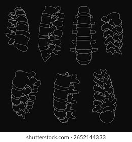 Cervical vertebrae displayed on a black background highlight the detailed anatomy of the human spine. The set includes various angles and structures for educational or medical use.
