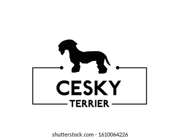 Cesky terrier - black silhouette of dog on a white background