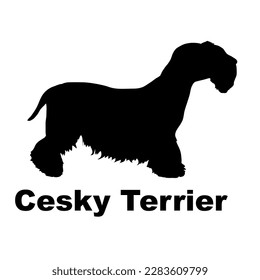  cesky terrier dog silhouette dog breeds