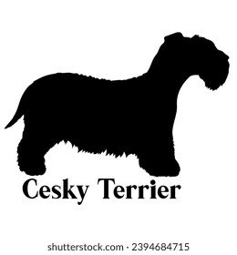 Cesky Terrier Dog silhouette dog breeds logo dog monogram logo dog face vector