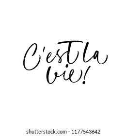 C'est la vie phrase handwritten with a calligraphic brush. It's life in French. Modern brush calligraphy.