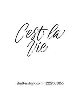 C'est La Vie - This is Life - calligraphic vector quote.