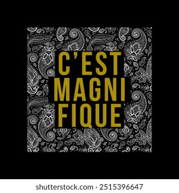 C'EST MAGNIFIQUE FRENCH IS IT'S BEAUTIFUL, Paisley pattern, Graphic design print t-shirts fashion, illustration, vector, posters, cards, stickers, mug