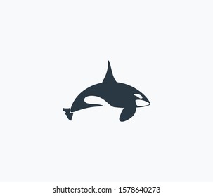 Cetacean icon isolated on clean background. Cetacean icon concept drawing icon in modern style. Vector illustration for your web mobile logo app UI design.