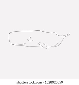 Cetacean icon line element. Vector illustration of cetacean icon line isolated on clean background for your web mobile app logo design.