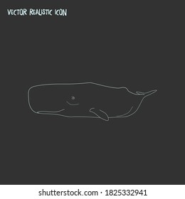 Cetacean icon line element. Vector illustration of cetacean icon line isolated on clean background for your web mobile app logo design.