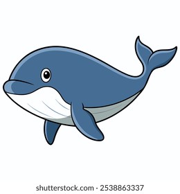 cetaceans vector illustration. cetaceans cartoon clipart, animal in flat style.