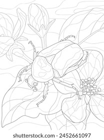 Cetonia aurata. A beetle sits on a flowering branch. Coloring book for adults.