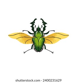 Cetonia aurata, Green rose chafer. Realistic beetle with outspread wings, big antennas. Exotic insect, bug. Small flying animal. Macro nature. Flat isolated hand drawn vector illustration on white