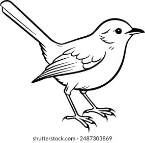 Cetti's warbler line art illustration