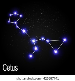 Cetus Constellation with Beautiful Bright Stars on the Background of Cosmic Sky Vector Illustration EPS10