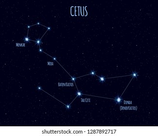 Constelación de Cetus (La ballena), ilustración vectorial con nombres de estrellas básicas contra el cielo estrellado